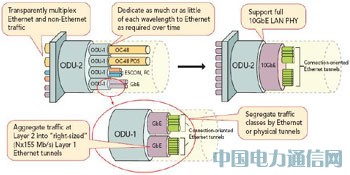 FPGA(sh)F(xin)100G;W(wng)