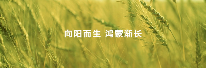 1750423350798901.png 圖片6.png
